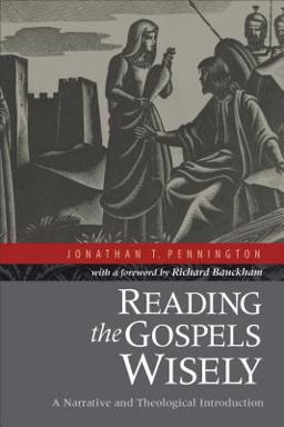 Reading the Gospels Wisely A Narrative and Theological Introduction  9780801039379 Front Cover
