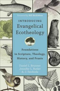 Introducing Evangelical Ecotheology Foundations in Scripture, Theology, History, and Praxis  9780801049651 Front Cover