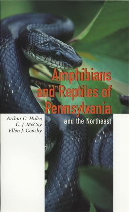 Amphibians and Reptiles of Pennsylvania and the Northeast  9780801437687 Front Cover