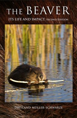 Beaver Natural History of a Wetlands Engineer 2nd 9780801450105 Front Cover