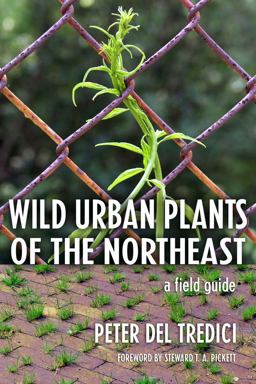 Wild Urban Plants of the Northeast A Field Guide  9780801474583 Front Cover