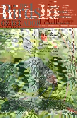 Birds of Ecuador Field Guide  9780801487217 Front Cover