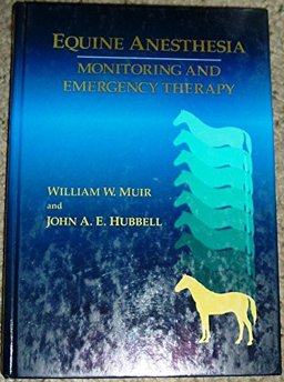 Equine Anesthesia