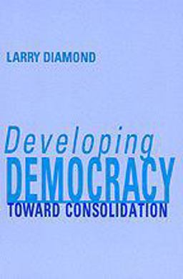 Developing Democracy Toward Consolidation  9780801861567 Front Cover