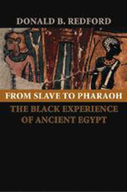 From Slave to Pharaoh The Black Experience of Ancient Egypt  9780801885440 Front Cover