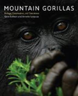 Mountain Gorillas Biology, Conservation, and Coexistence  9780801890116 Front Cover