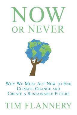 Now or Never Why We Must Act Now to End Climate Change and Create a Sustainable Future  9780802118981 Front Cover