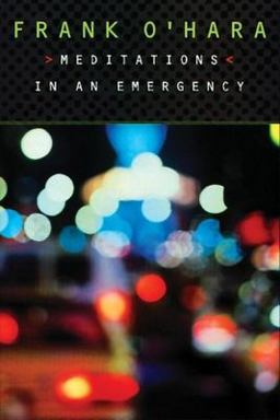 Meditations in an Emergency 2nd 9780802134523 Front Cover