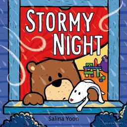 Stormy Night  9780802737809 Front Cover
