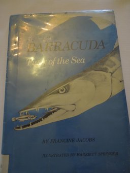 Barracuda