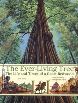 The Ever-Living Tree