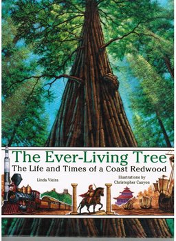 The Ever-Living Tree