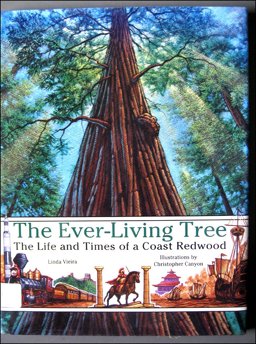The Ever-Living Tree