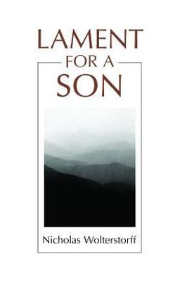 Lament for a Son  9780802802941 Front Cover