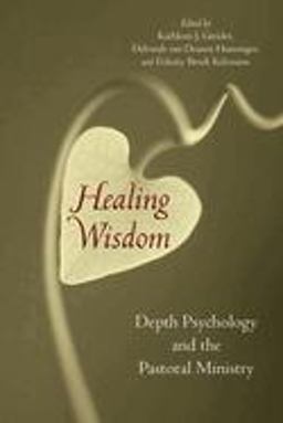 Healing Wisdom Depth Psychology and the Pastoral Ministry  9780802862549 Front Cover