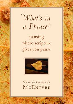 What's in a Phrase? Pausing Where Scripture Gives You Pause  9780802871145 Front Cover