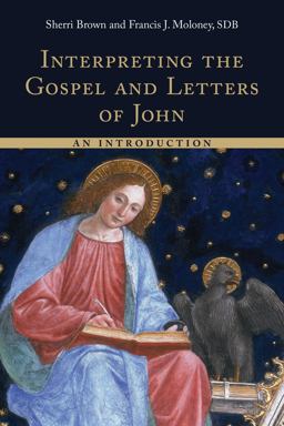 Interpreting the Gospel and Letters of John An Introduction  9780802873385 Front Cover