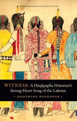 Witness A Hunkpapha Historian's Strong-Heart Song of the Lakotas  9780803245648 Front Cover