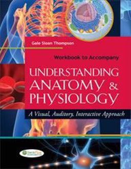 Workbook to Accompany Understanding Anatomy and Physiology A Visual, Auditory, Interactive Approach  9780803622883 Front Cover