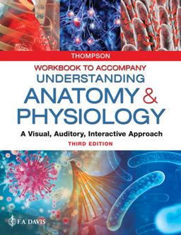 Workbook to Accompany Understanding Anatomy and Physiology A Visual, Auditory, Interactive Approach 3rd 9780803676466 Front Cover
