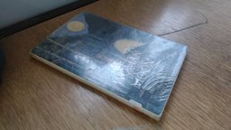 Woman in the Moon And Other Tales of Forgotten Heroines  9780803701946 Front Cover