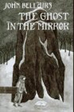 The Ghost in the Mirror