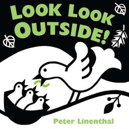 Look Look Outside  9780803737297 Front Cover