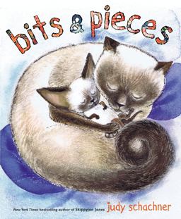 Bits &amp; Pieces  9780803737884 Front Cover