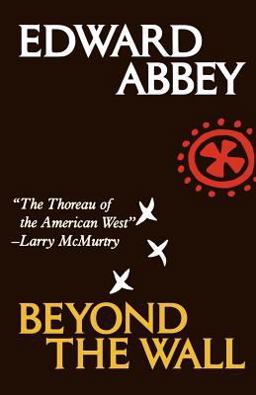 Beyond the Wall Essays from the Outside  9780805008203 Front Cover