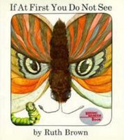 If at First You Do Not See