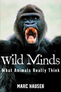 Wild Minds