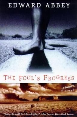Fool's Progress An Honest Novel  9780805057911 Front Cover