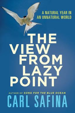 View from Lazy Point A Natural Year in an Unnatural World  9780805090406 Front Cover