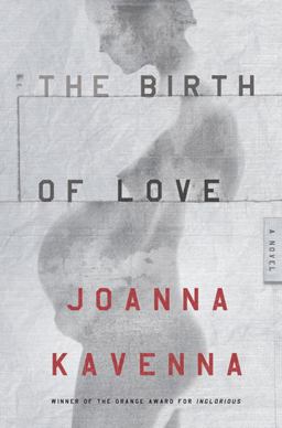 Birth of Love A Novel  9780805091540 Front Cover
