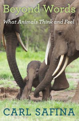 Beyond Words What Animals Think and Feel  9780805098884 Front Cover