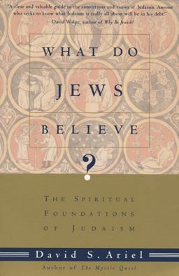 What Do Jews Believe? The Spiritual Foundations of Judaism  9780805210590 Front Cover