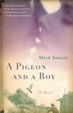 Pigeon and a Boy A Novel  9780805212143 Front Cover