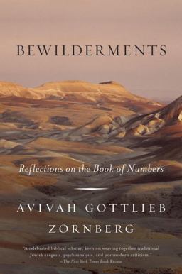 Bewilderments Reflections on the Book of Numbers  9780805212518 Front Cover