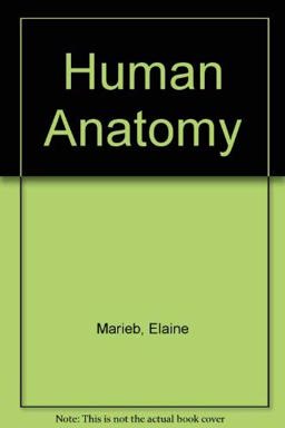 Human Anatomy Human Anatomy