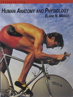 Human Anatomy Physiology Human Anatomy Physiology