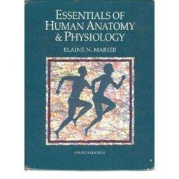 Essentials of Human Anatomy and Physiology Essentials of Human Anatomy and Physiology