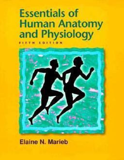 Essentials of Human Anatomy and Physiology Essentials of Human Anatomy and Physiology