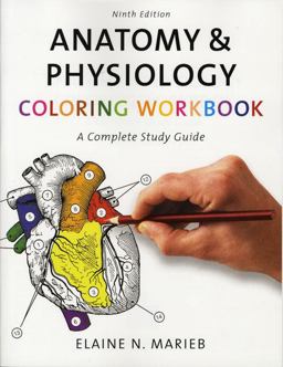 Anatomy and Physiology Coloring Workbook Anatomy and Physiology Coloring Workbook