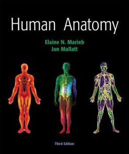 Human Anatomy Human Anatomy