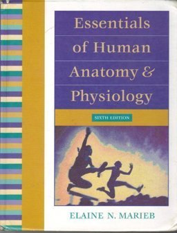 Essentials of Human Anatomy and Physiology Essentials of Human Anatomy and Physiology