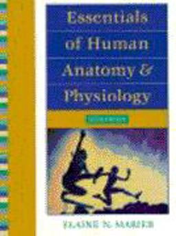 Essentials of Human Anatomy and Physiology Essentials of Human Anatomy and Physiology