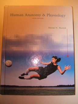 Human Anatomy and Physiology Human Anatomy and Physiology