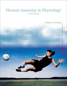Human Anatomy and Physiology Human Anatomy and Physiology