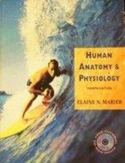 Human Anatomy and Physiology Human Anatomy and Physiology