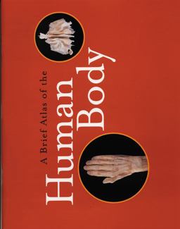 Human Anatomy and Physiology 6th 9780805353365 Front Cover